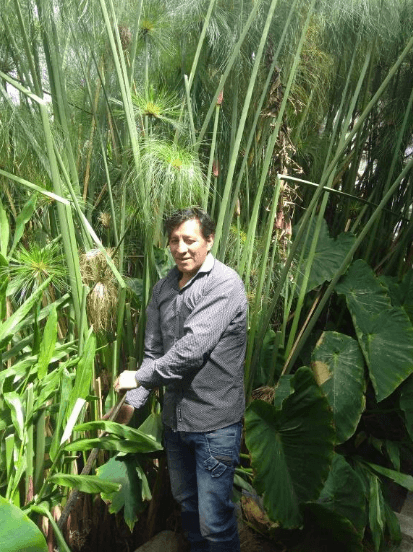 Yakunina jardinera biofiltrante permacultura tratamiento de aguas residuales