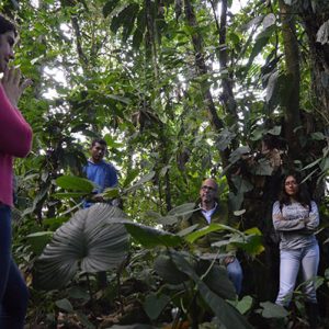 Conociendo el Bosque