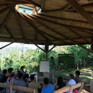 PDC Ecuador curso de diseño en permacultura CDP