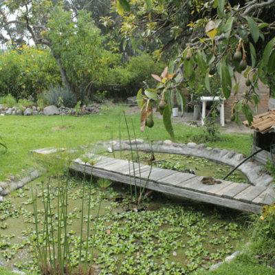 YAKUNINA permacultura plantas de tratamiento de aguas residuales ecuador