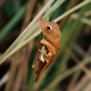 Processed with VSCO with kk1 preset