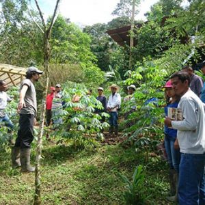 Conociendo la Finca